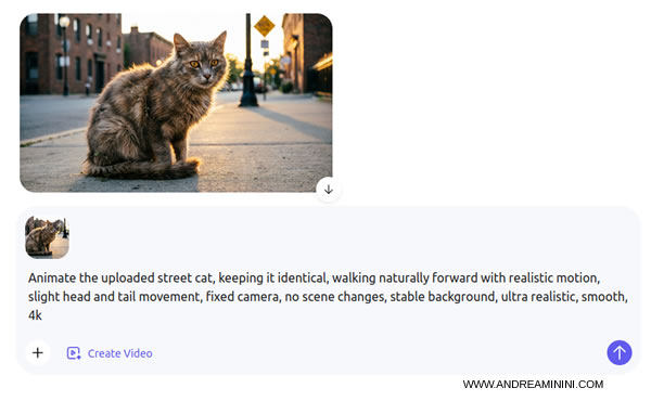come animare la foto